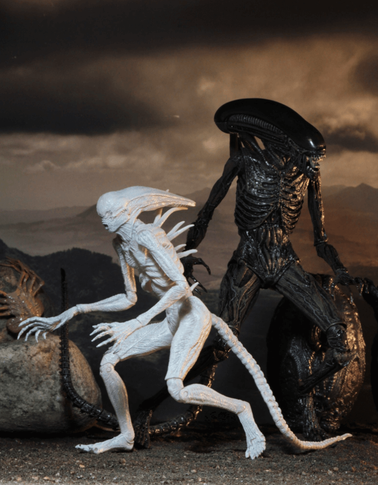 Neca Alien: Covenant – 7” Scale Action Figure – Neomorph