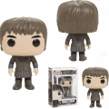Closer Look at Bran Stark from the new Funko Pop! Game of Thrones line!
