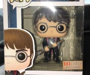 Funko Pop! Harry Potter with Firebolt Box Lunch Exclusive Spotted!